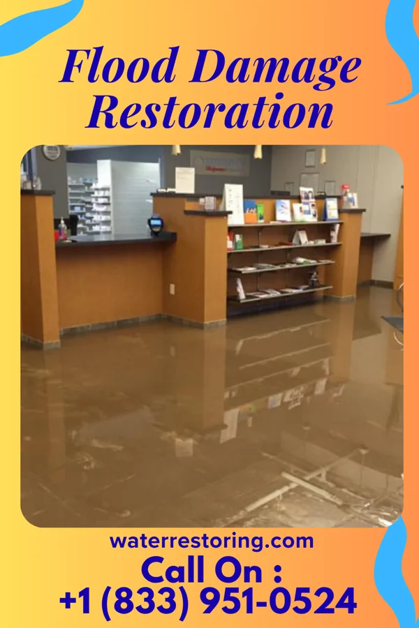 Flood Damage Restoration in Morgan Farm, TX